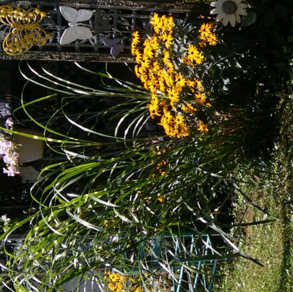 Meet your Posher, Michelle - Picture 1 of 1